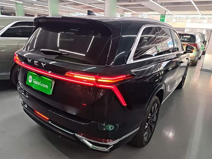 Фото 7 - Wey Lanshan