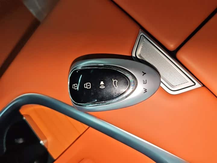 Фото 9 - Wey Lanshan