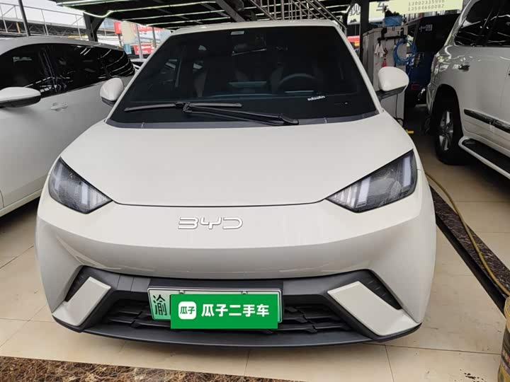 Фото 3 - BYD Seagull