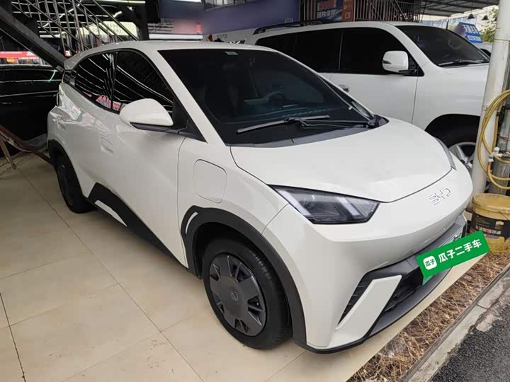 Фото 4 - BYD Seagull