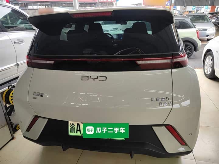 Фото 6 - BYD Seagull