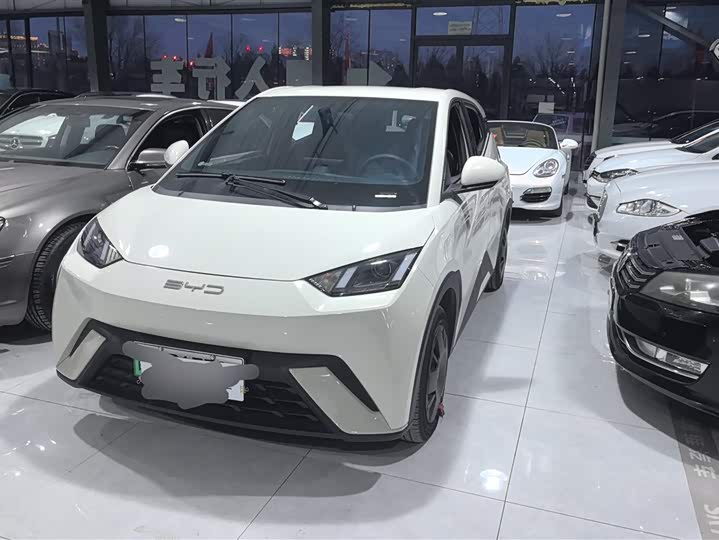 Фото 1 - BYD Seagull