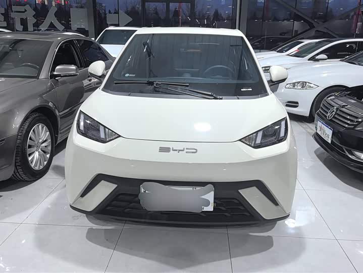 Фото 2 - BYD Seagull