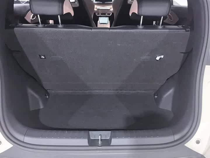 Фото 4 - BYD Seagull