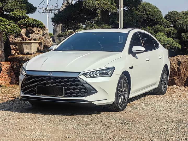 Фото 1 - BYD Qin Plus