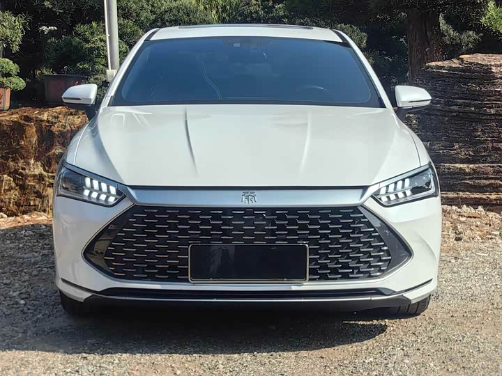 Фото 2 - BYD Qin Plus