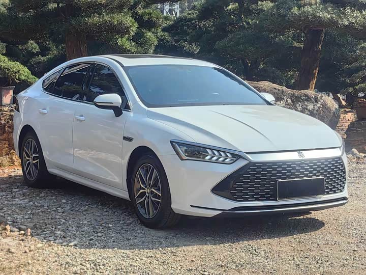 Фото 3 - BYD Qin Plus