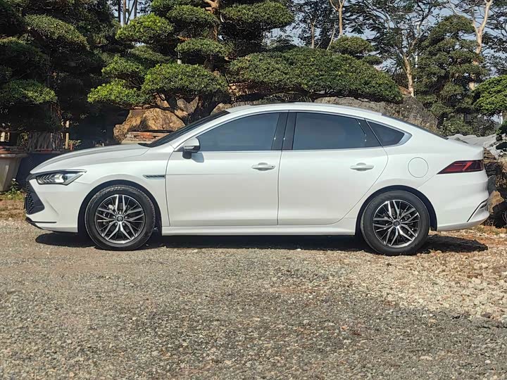 Фото 4 - BYD Qin Plus