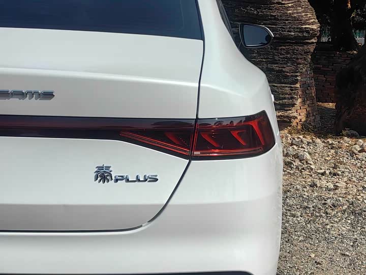 Фото 8 - BYD Qin Plus