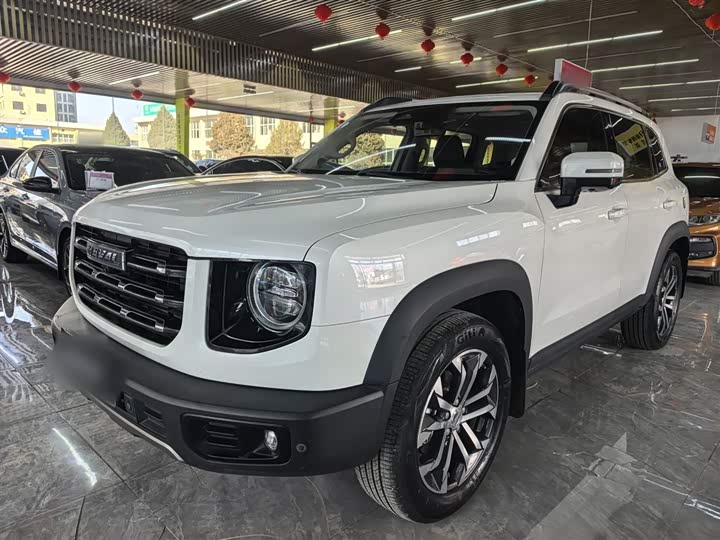 Фото 2 - Haval Dargo