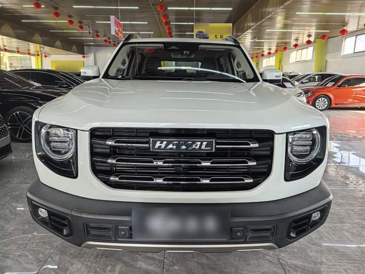 Фото 5 - Haval Dargo