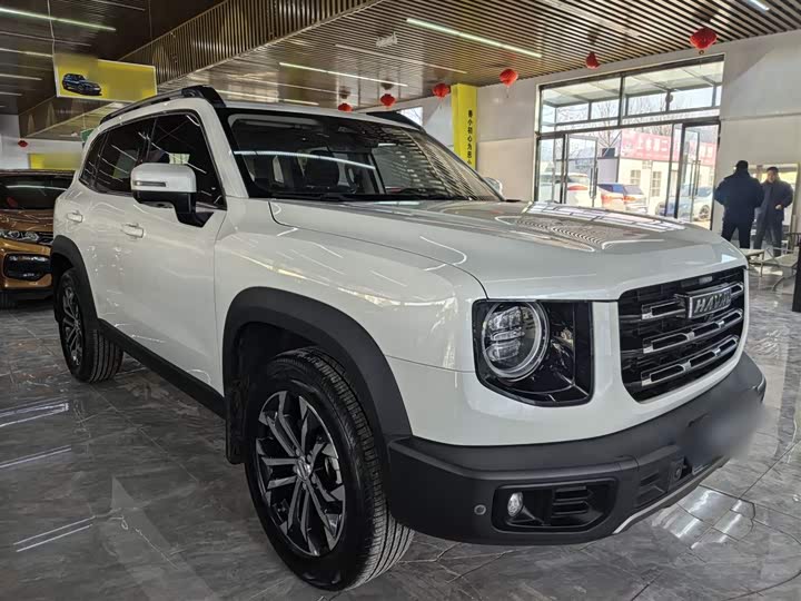 Фото 6 - Haval Dargo