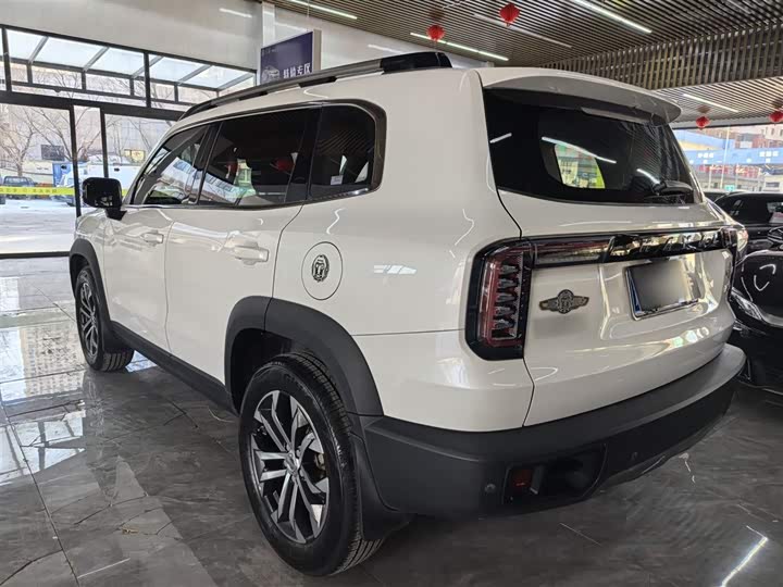 Фото 7 - Haval Dargo