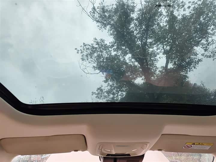 Фото 9 - Ora Good Cat (03)