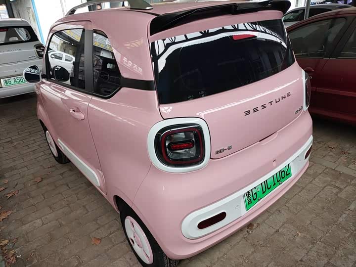 Фото 5 - Bestune Pony