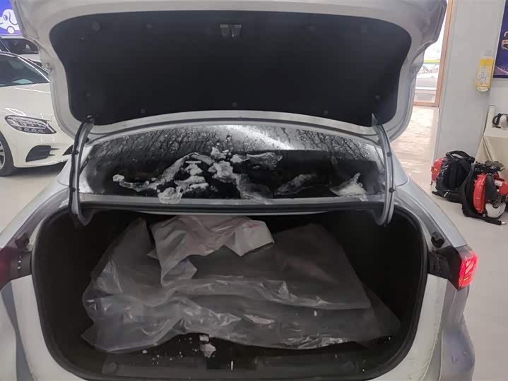 Фото 4 - Geely Galaxy L6