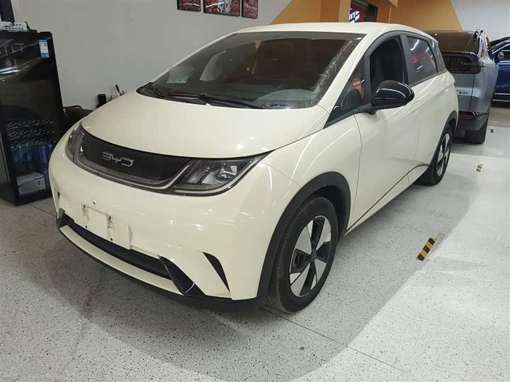 Фото 2 - BYD Dolphin