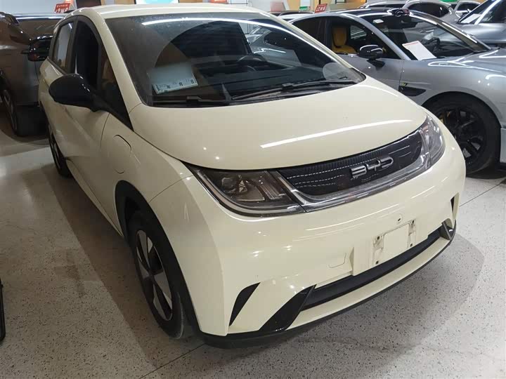 Фото 4 - BYD Dolphin