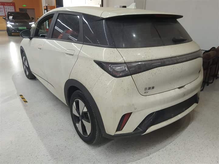 Фото 5 - BYD Dolphin