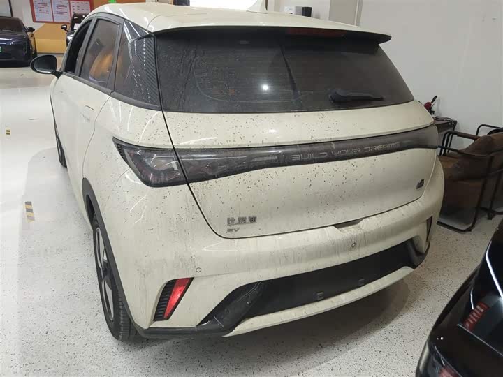 Фото 6 - BYD Dolphin