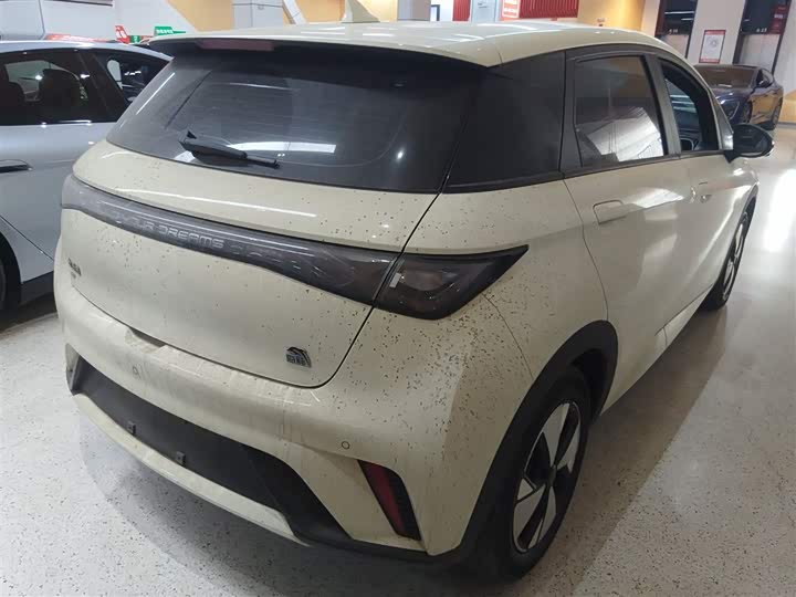 Фото 7 - BYD Dolphin