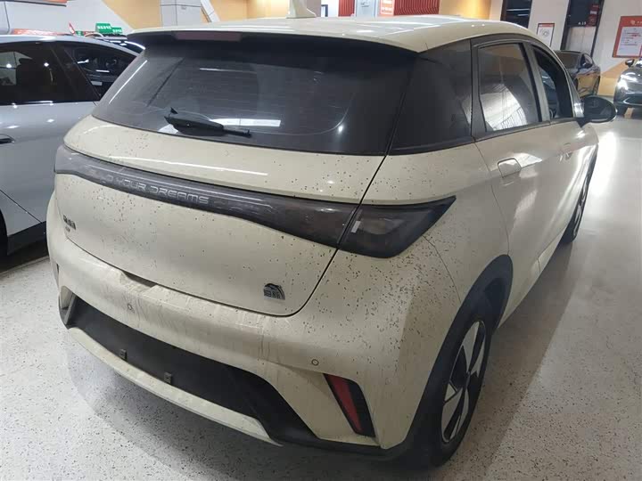 Фото 8 - BYD Dolphin