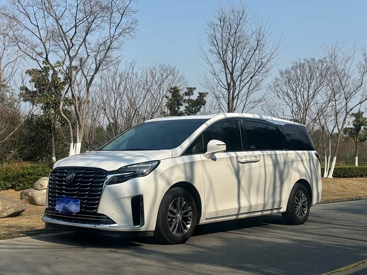 Фото 1 - Buick GL8 ES