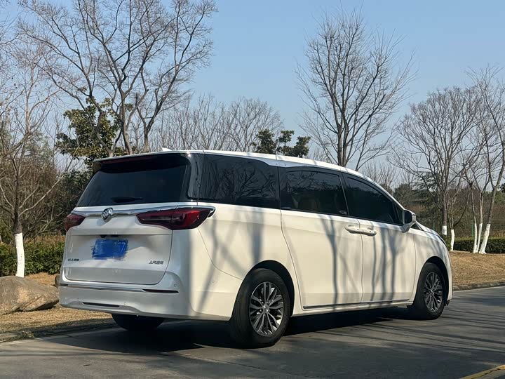 Фото 3 - Buick GL8 ES