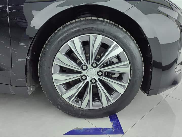 Фото 6 - Hongqi E-QM5