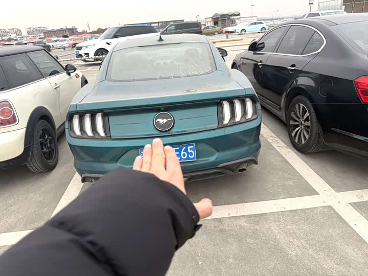 Фото 5 - Ford Mustang