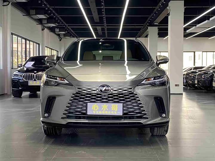 Фото 2 - Lexus RX