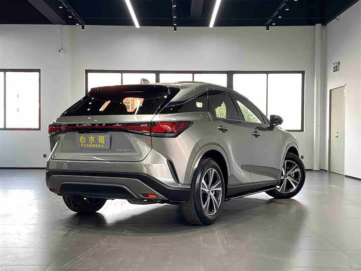 Фото 4 - Lexus RX
