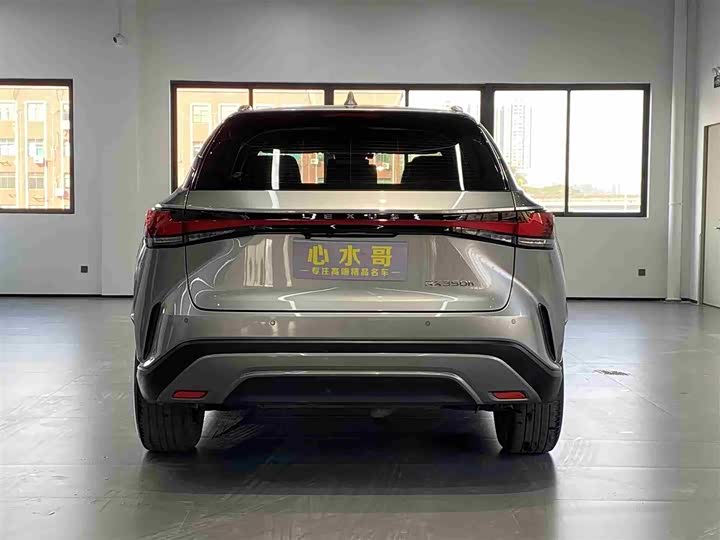 Фото 5 - Lexus RX