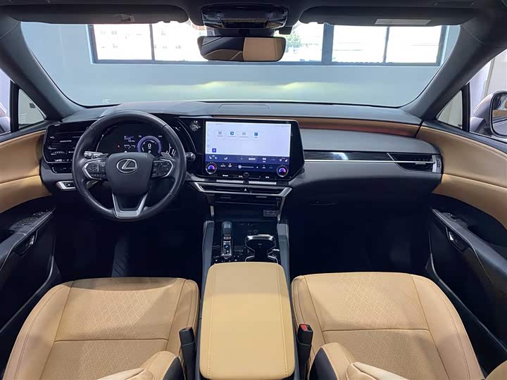 Фото 6 - Lexus RX