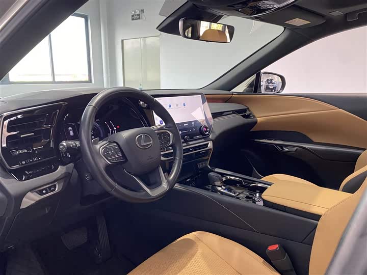 Фото 7 - Lexus RX