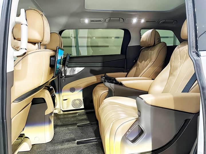 Фото 9 - Denza D9