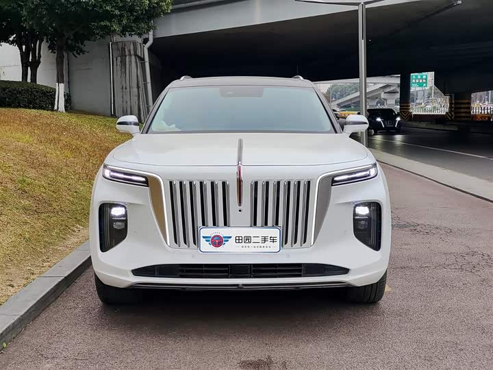 Фото 2 - Hongqi E-HS9