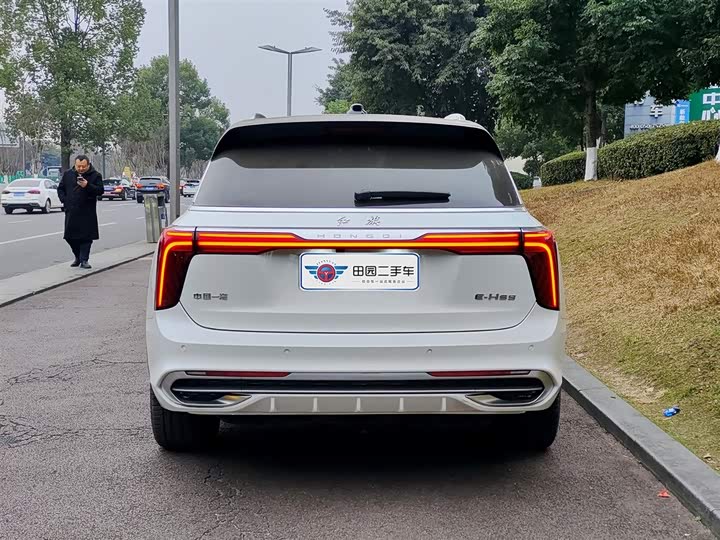 Фото 5 - Hongqi E-HS9