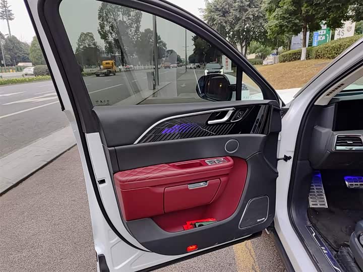 Фото 6 - Hongqi E-HS9