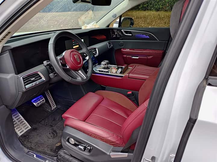 Фото 7 - Hongqi E-HS9