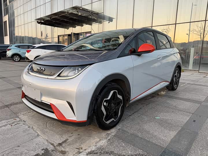 Фото 1 - BYD Dolphin