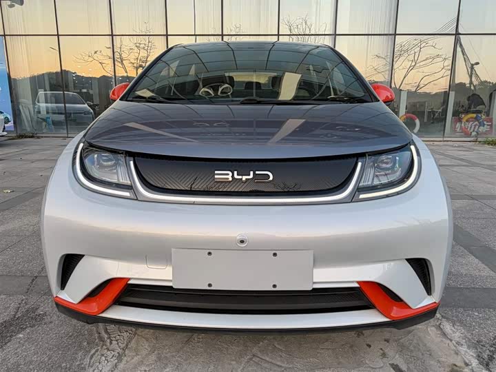 Фото 2 - BYD Dolphin