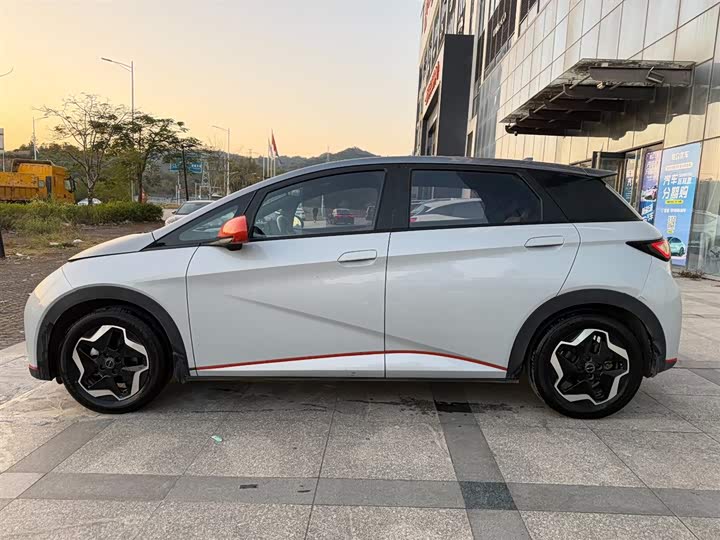 Фото 4 - BYD Dolphin