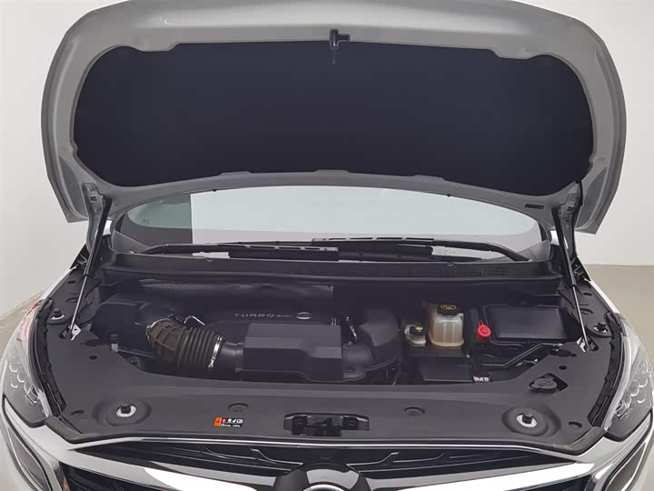 Фото 6 - Buick GL8 ES