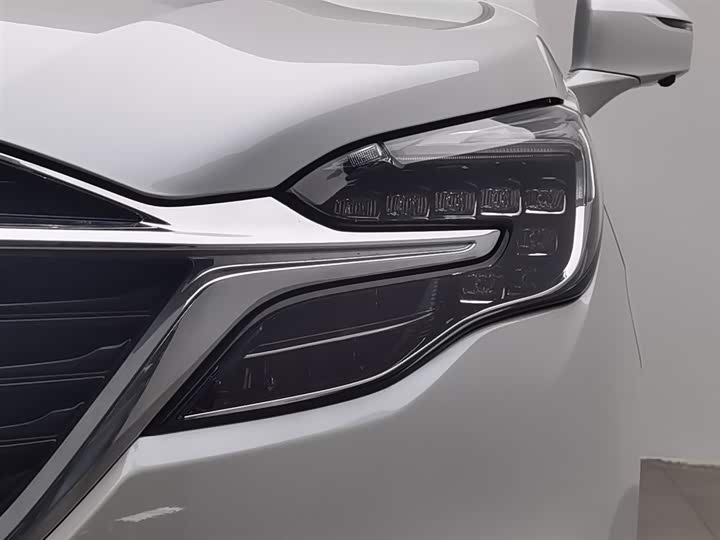 Фото 7 - Buick GL8 ES