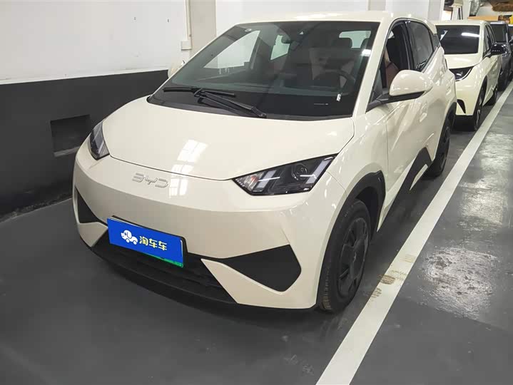 Фото 1 - BYD Seagull