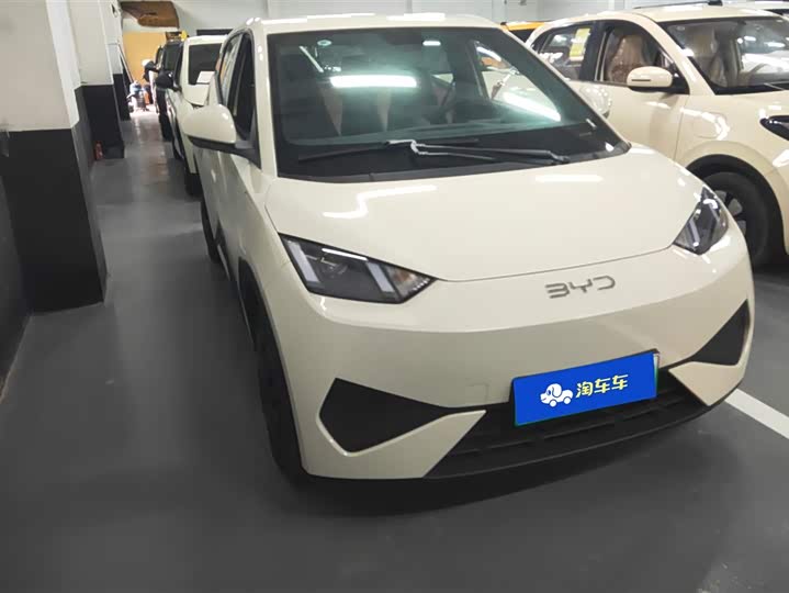 Фото 2 - BYD Seagull