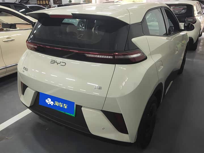 Фото 3 - BYD Seagull