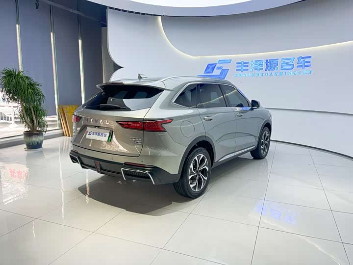 Фото 5 - Haval Ruge Max