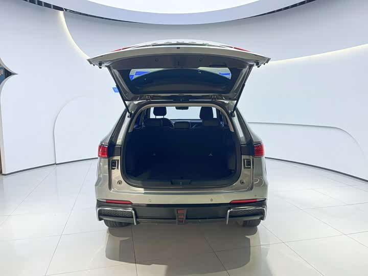 Фото 6 - Haval Ruge Max